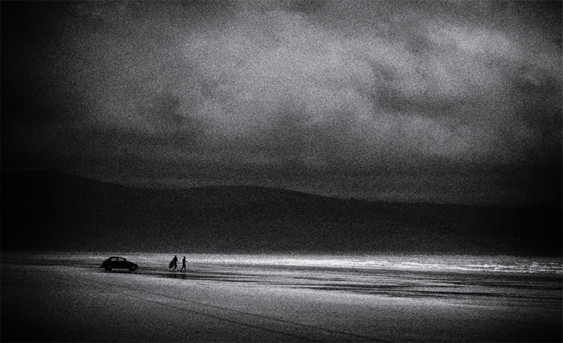 The Surfers.jpg